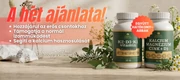 Ütős ajánlatok!