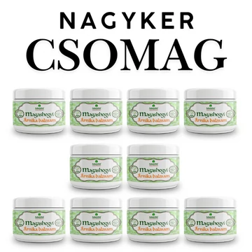 10 darab Magashegyi ÁRNIKA - 12 gyógynövényből – 250 ml