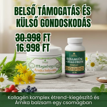 Belső támogatás és külső gondoskodás