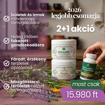 2026 Legjobb Csomagja – 2+1 AJÁNDÉK