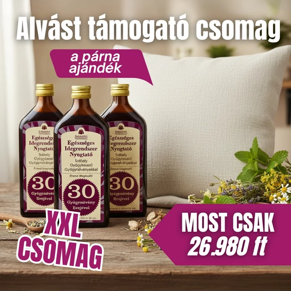 XXL Nyugalom és Pihentető Alvás Csomag – 3× Egészséges Idegrendszer Gyógykeserű + Gyógypárna