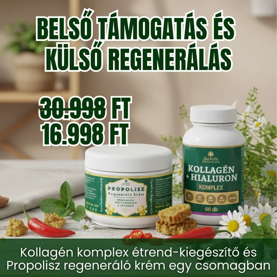 Belső támogatás és külső Regenerálás
